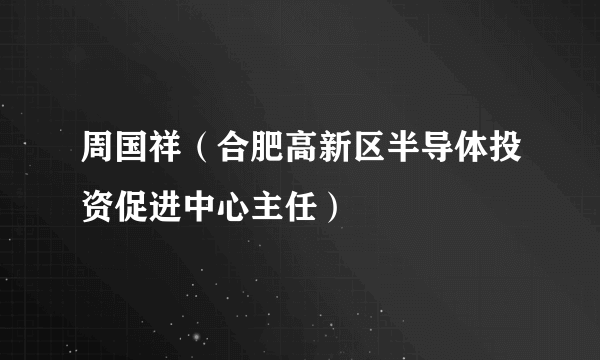 周国祥（合肥高新区半导体投资促进中心主任）