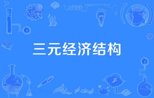 三元经济结构