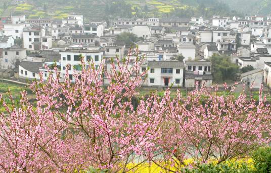 桃花村（湖北省宜昌市南津关桃花村）