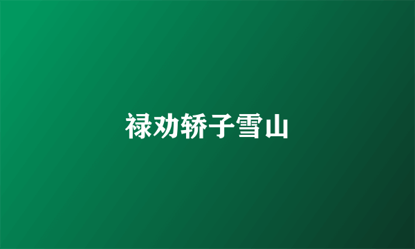 禄劝轿子雪山
