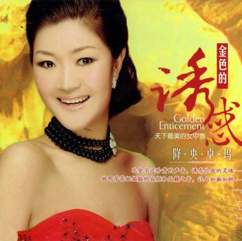 爱江山更爱美人（降央卓玛演唱歌曲）
