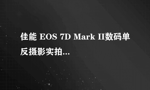 佳能 EOS 7D Mark II数码单反摄影实拍技法宝典