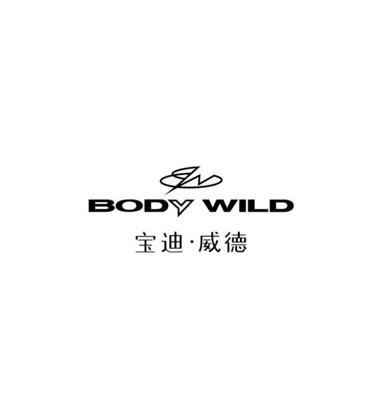 宝迪威德