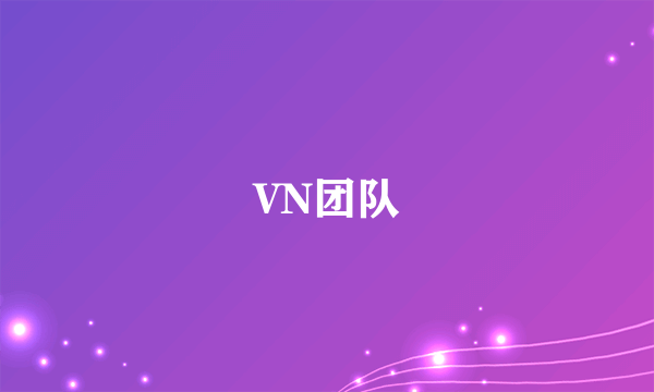 VN团队