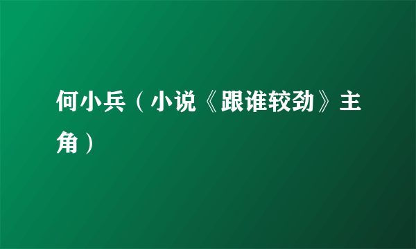 何小兵（小说《跟谁较劲》主角）