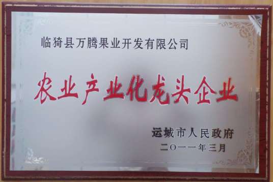 农业产业化龙头企业