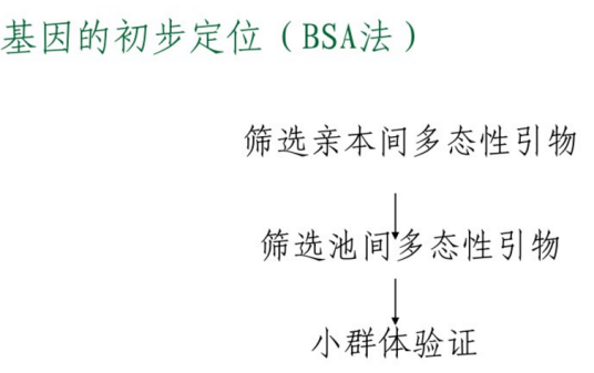 BSA（集团分离分析法）