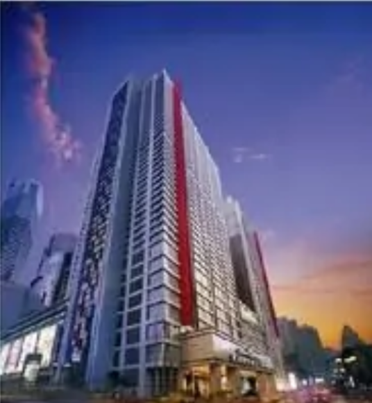 重庆维财投资有限公司