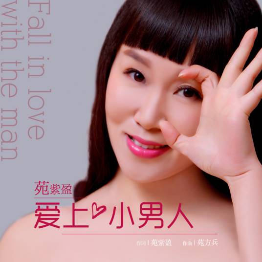 爱上小男人（苑紫盈演唱歌曲）