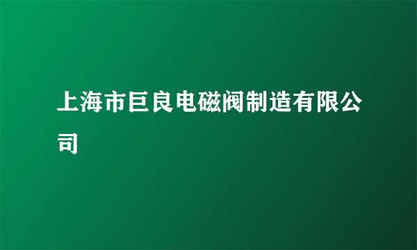 上海市巨良电磁阀制造有限公司