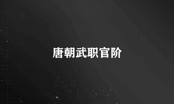 唐朝武职官阶