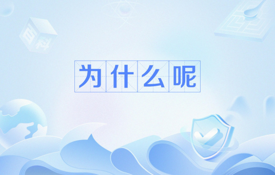 为什么呢（网络流行语）