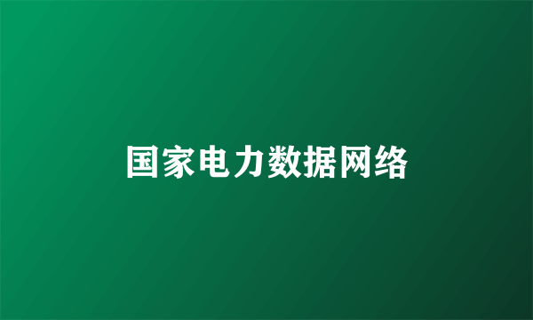 国家电力数据网络