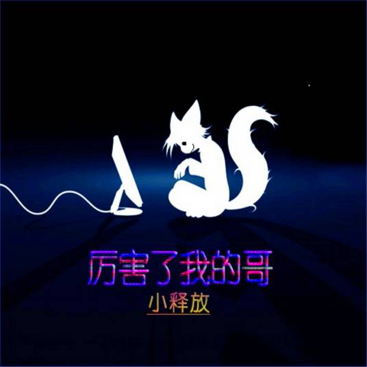厉害了我的哥（小释放2016年原创歌曲）
