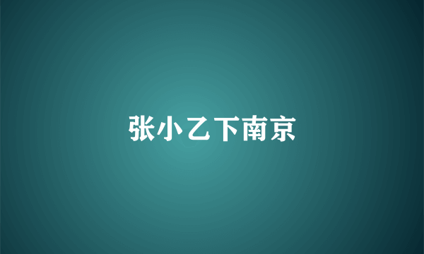 张小乙下南京