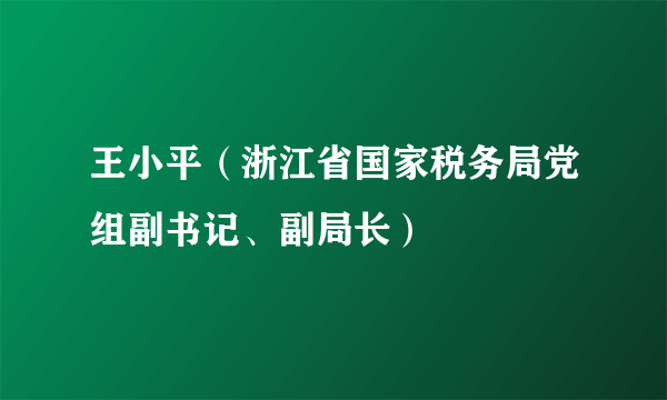 王小平（浙江省国家税务局党组副书记、副局长）