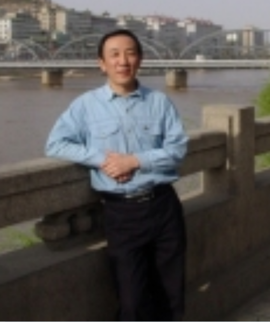 王智慧（北京工业大学教授）