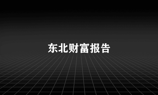 东北财富报告