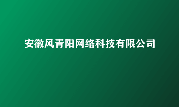 安徽风青阳网络科技有限公司