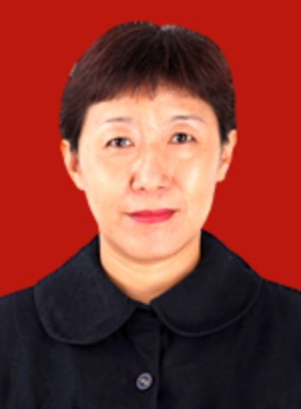 李丽君（天津市河西区人民政府副区长、人民代表大会常务委员会副主任）