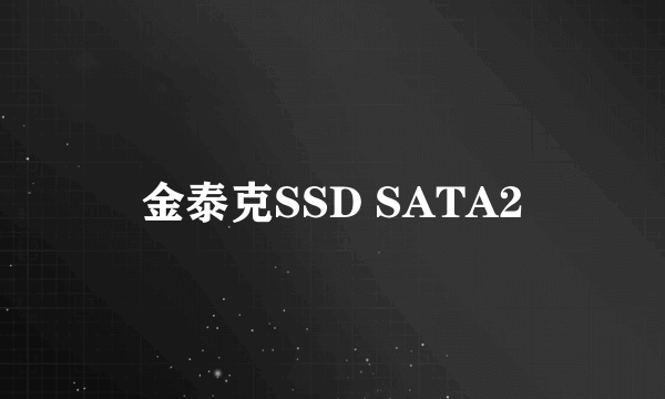 金泰克SSD SATA2