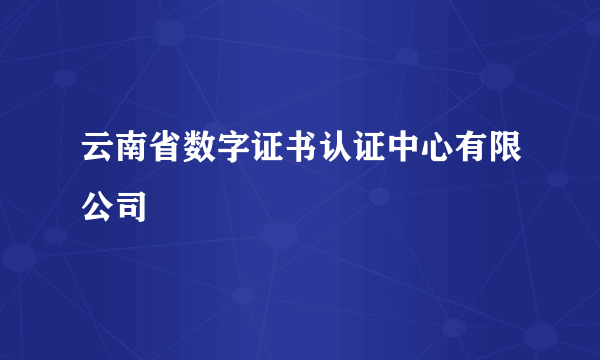 云南省数字证书认证中心有限公司