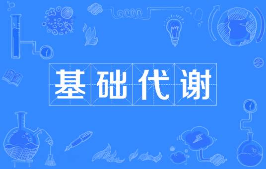 基础代谢