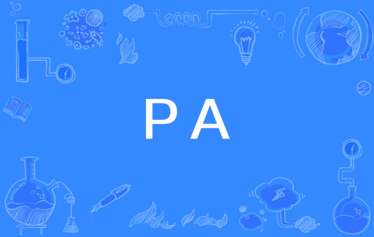 PA（开放式数控系统）