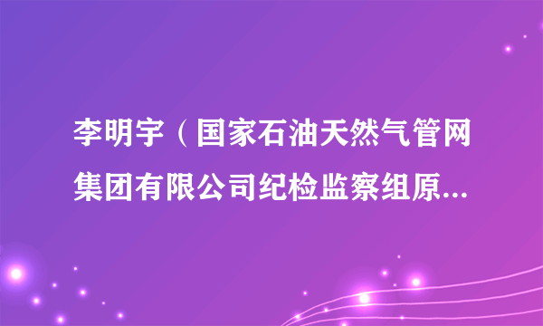 李明宇（国家石油天然气管网集团有限公司纪检监察组原副组长）