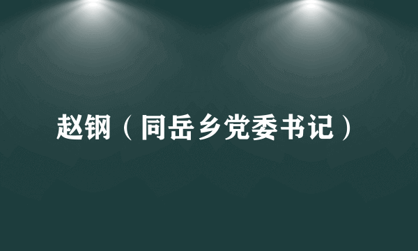 赵钢（同岳乡党委书记）