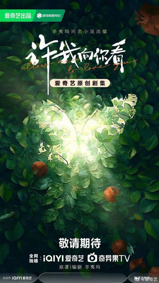许我向你看（辛夷坞编剧的电视剧）