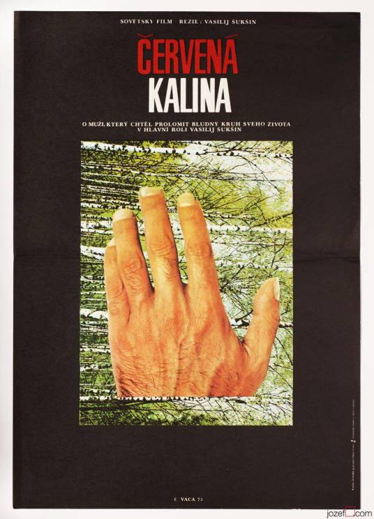 红莓（1975年苏联电影）