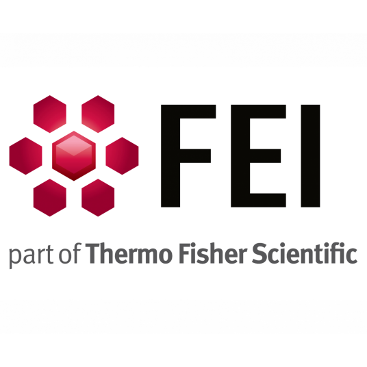 FEI公司