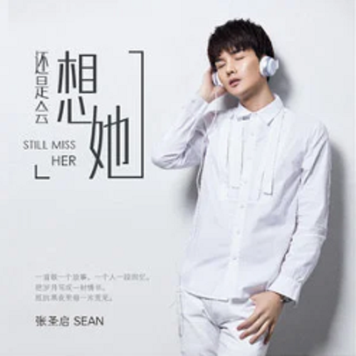 还是会想她（张圣启演唱歌曲）