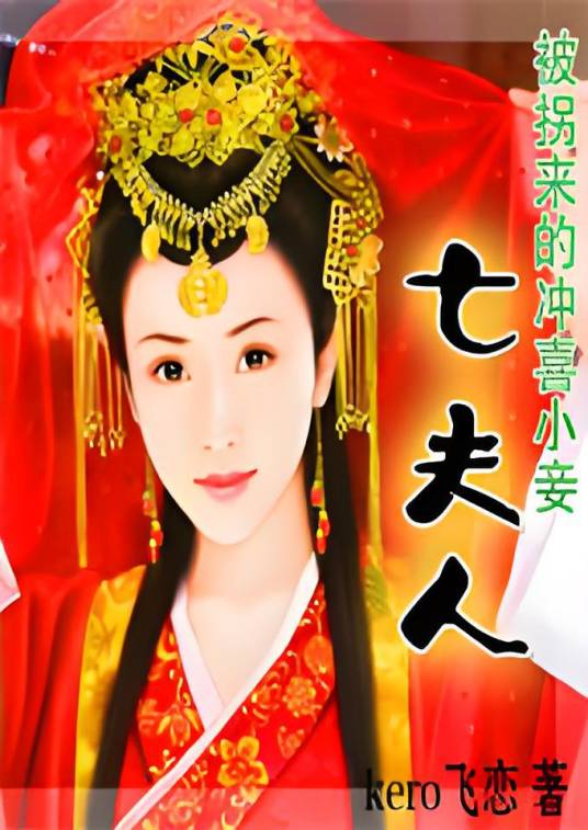 七夫人（落随心创作的网络小说）