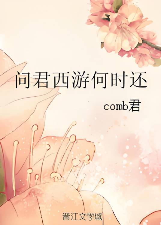 问君西游何时还