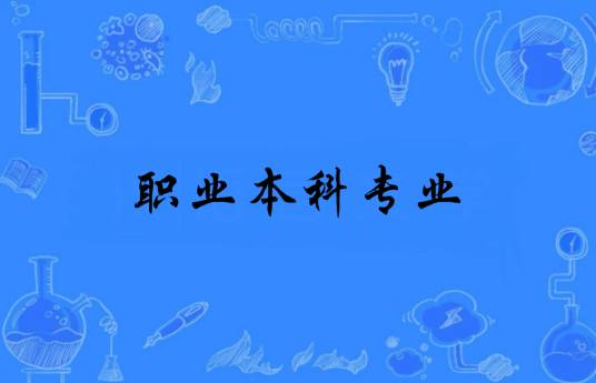 职业本科专业