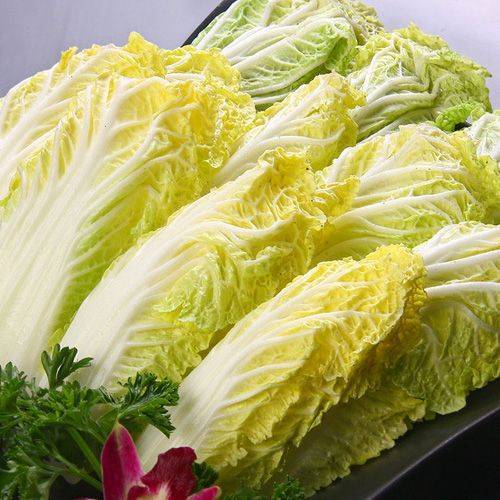 干锅（甘认菜2013072）