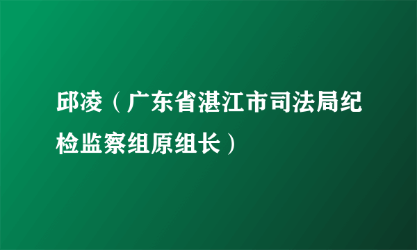 邱凌（广东省湛江市司法局纪检监察组原组长）