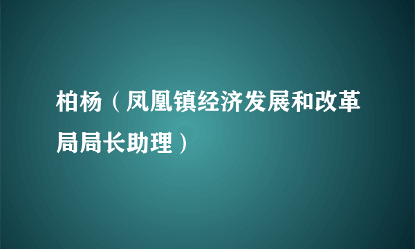 柏杨（凤凰镇经济发展和改革局局长助理）