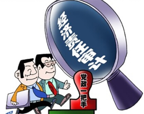 领导干部经济责任审计