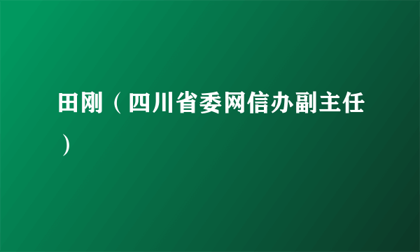 田刚（四川省委网信办副主任）