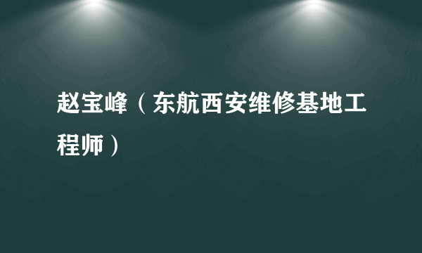 赵宝峰（东航西安维修基地工程师）