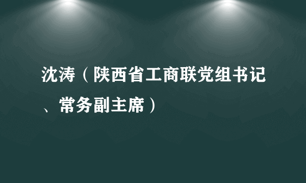 沈涛（陕西省工商联党组书记、常务副主席）