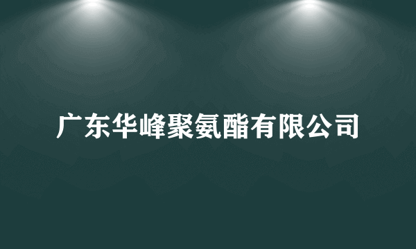 广东华峰聚氨酯有限公司