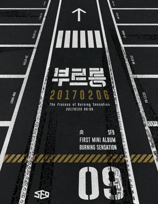 ROAR（韩国男团SF9演唱歌曲）
