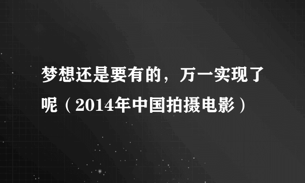 梦想还是要有的，万一实现了呢（2014年中国拍摄电影）