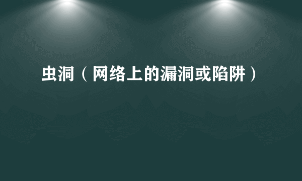 虫洞（网络上的漏洞或陷阱）