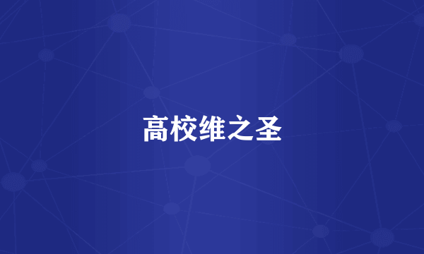 高校维之圣