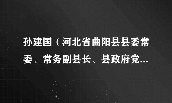 孙建国（河北省曲阳县县委常委、常务副县长、县政府党组副书记）